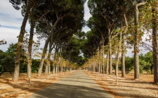 rellenos faciales Bilbao
