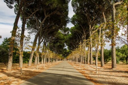 rellenos faciales Bilbao