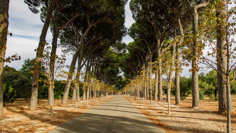 rellenos faciales Bilbao